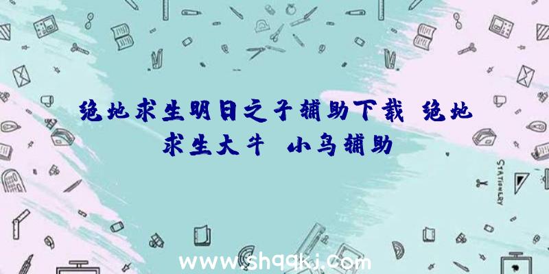 绝地求生明日之子辅助下载、绝地求生大牛